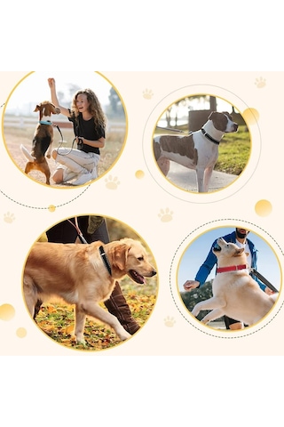 Leezsingköpekler İçin Çıkarılabilir Naylon Koruyucu Ve Hızlı Çıkarılabilir Tokalı Çatal Eğitim Tasması, Büyük Orta Küçük Köpekler İçin Ekstra Çatalla-6