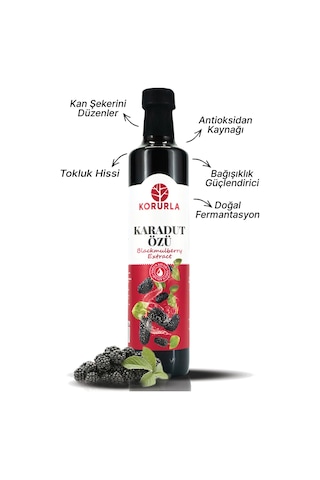 Karadut Özü 700 Gr Yoğun Kıvam