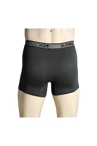 Kenn Paul S- 6xl Füme Düz Pamuklu Boxer Büyük Beden Yumuşak Dayanıklı Çok Renkli