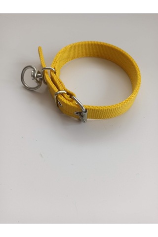 Kozaklı Küçük Irk Köpek Tasması Sarı 50 x 2.5 CM Sarı