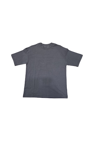 Limus Erkek T-shirt Bisiklet Yaka Gri