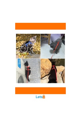 Ayarlanabilir Renkli Kedi Tasması 120cm