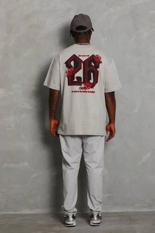 Vexor Erkek Oversize Baskılı Bisiklet Yaka T-shirt - Gri