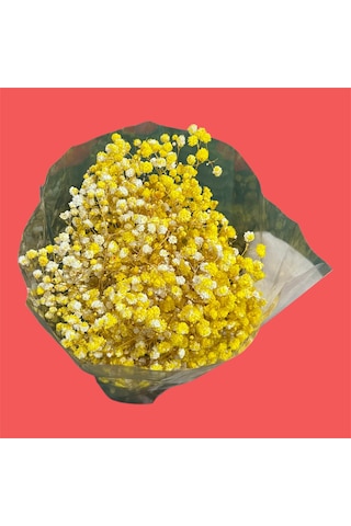 Şoklanmış Kurutulmuş Cipso Çiçeği 1 Demet 50-60gr - 35-45cm Sarı