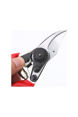 Pazly Tian Tayvan Sakawa Sagawata Meyve Makası Makası Gözdesi Budama Bahçe Amazon'un Ağaçları 7005 7005 Qj