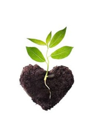 5 KG Organik Doğal Bitki Gübresi Toprak Düzenleyici Gübre