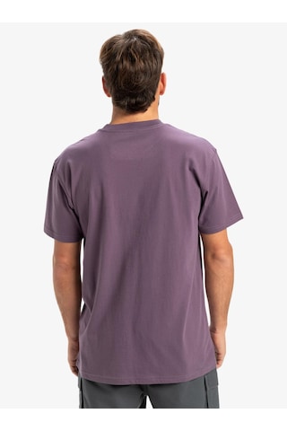 Quiksilver Ev Mini Logo Ss Erkek T-shirt-29760 Mor