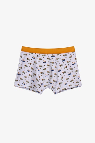 Penti Haki Erkek Çocuk Dino in The Field 3'lü Boxer