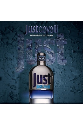 Roberto Cavalli Just Cavalli Erkek Parfüm EDT 90 ML