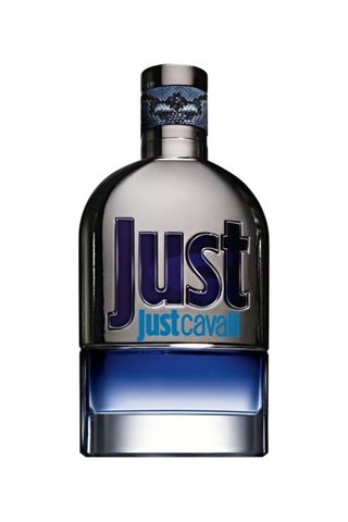 Roberto Cavalli Just Cavalli Erkek Parfüm EDT 90 ML