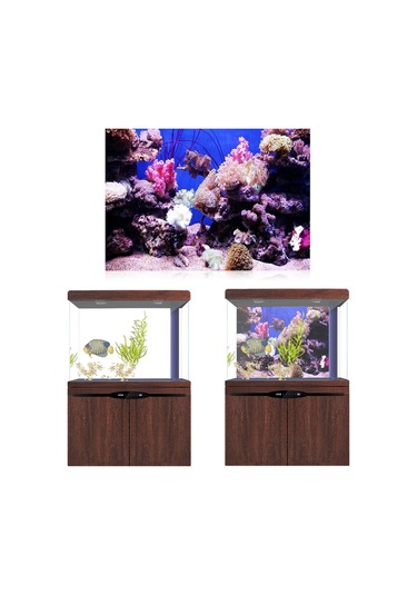 Qingmipy 3d Mercan Desenli Pvc Akvaryum Arka Panosu, Su Geçirmez Otomatik Yapışkan, 61x41 Cm, Zengin Dekorasyon