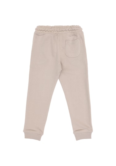 U.s. Polo Assn. Erkek Çocuk Taş Eşofman Altı 50314026-vr049 Tas