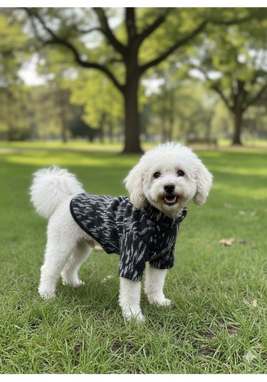 Kedi - Köpek Mevsimlik - Kışlık Triko Kazak - Sweat - Mont - Yelek