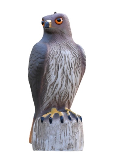 Homyl Kartal Heykeli Plastik Raf Kitaplık Masaüstü Heykelcik Orta