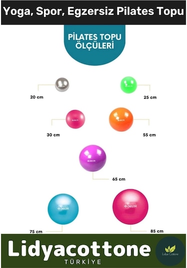 Mini Gymball 20cm Mavi Pilates Denge Egzersiz Topu Profesyonel Seri Şişirme Pompa