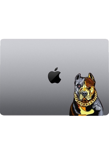 Altın Tasmalı Pitbull Araba, Motorsiklet, Kask, Laptop, Cam Sticker 14x12 Cm
