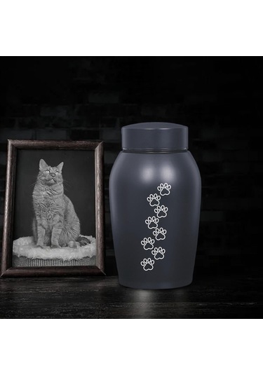 Homyl Paslanmaz Çelik Pet Urn Kremasyon 60 Lbs'ye Kadar Stil-c Altın