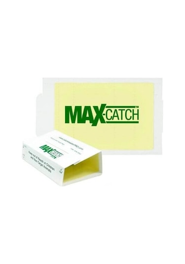 Maxcatch Kokulu Yapışkan Fare Tuzağı 10'lu