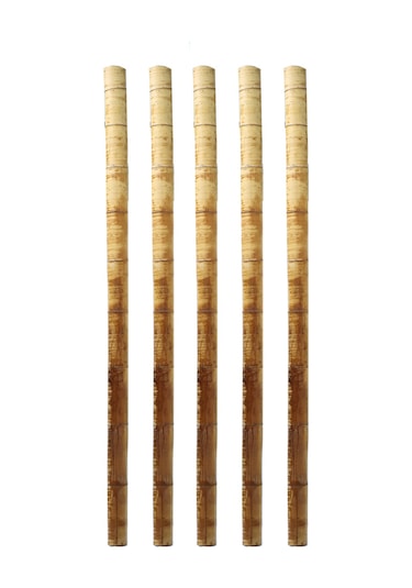Dekoratif Bambu Xl