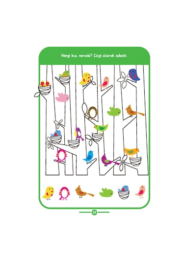 Zihinsel Becerilerimi Geliştiriyorum 3-4 Yaş Dikkat!- Limonkids
