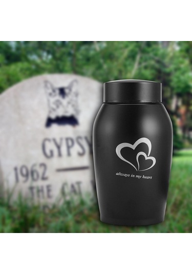 Homyl Köpekler Kediler Küller Gevşek Anıt Evcil Siyah Altın