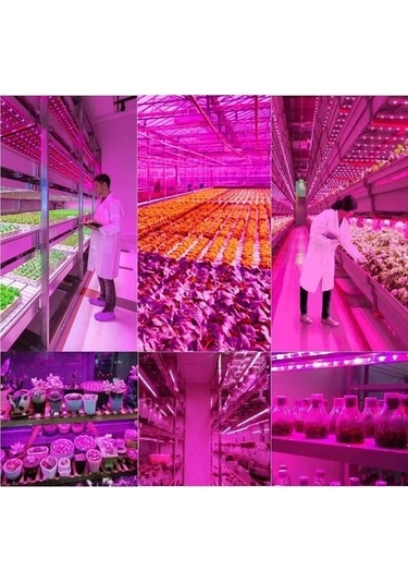 Opulentliving 5 Metre Usb Bitki Büyütme Led Şerit - Tam Spektrum Tohum Yetiştirme Işığı Diğer