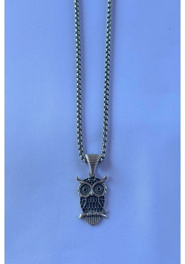 Baykuş El İşçiliği Paslanmaz Çelik Zincir Erkek Kolye Gümüş