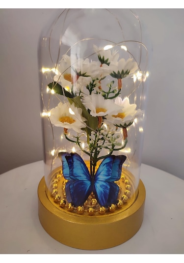 Işıklı Papatya Buket Fanus