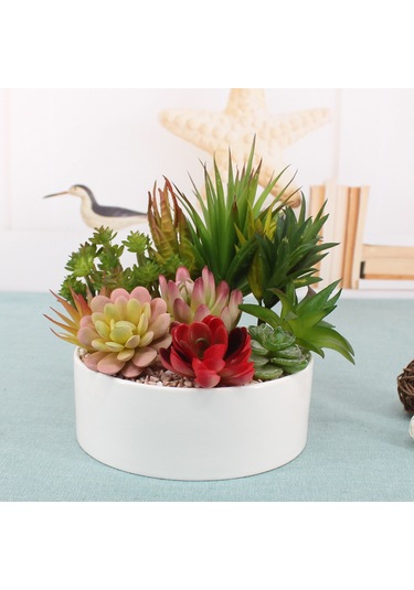 Xiyyadms Ta10 Dıy Yapay Sukulent Bitki Seti - Bakımı Olmayan Ev Dekorasyonu, Duvar Yeşilimi, Doğal Stili Evinizde
