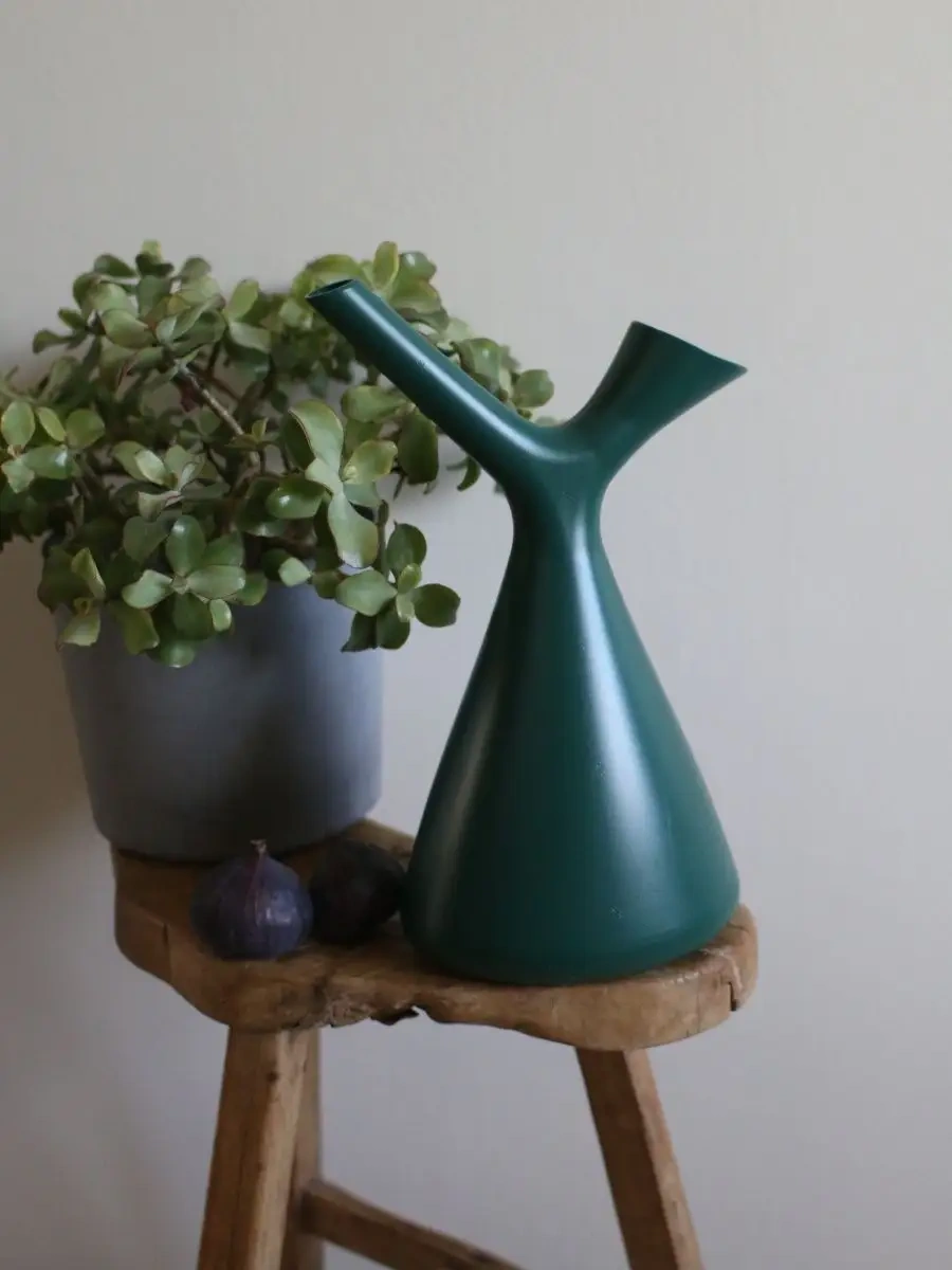 Zeytin Home İç Mekan Çiçekleri İçin Sulama Kasesi 100259398