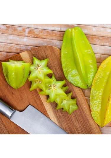 20 Lt Saksıda Meyve Verir Durumda Carambola Yıldız Meyvesi Fidanı