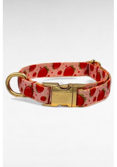 Caramelos İsimli Köpek Tasması, Yavru Köpek Tasması, Küçük Irk Köpek Tasması, Metal Kilit, 1,5 Cm Pembe