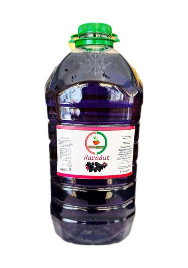 Coffee Naturelle Karadut Aromalı İce Slush 1e9 Konsatre Şurup 5 L