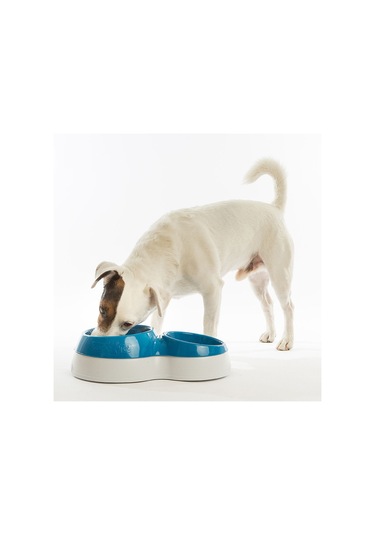 Ciotolotto Büyük Boy Mama Ve Su Kabı Kahverengi