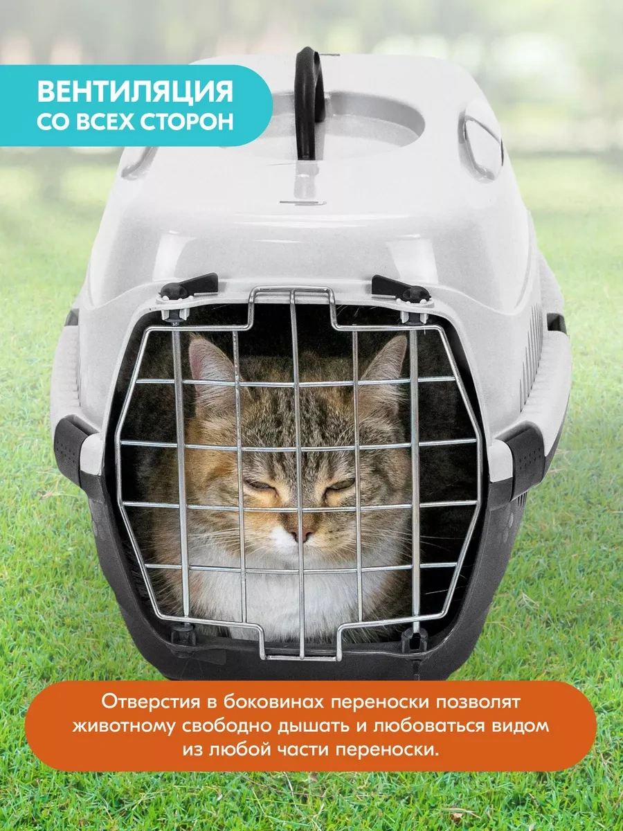 Pettails Plastik Kedi Taşıma Kafesi, Hayvanlar İçin Metal Kapılı 27566028