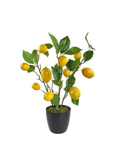 Yapay Limon Ağacı 40Cm Gerçek Doku Siyah Plastik Saksılı Dekorati