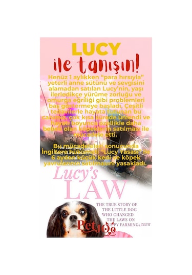 Petjoo 11.Lucy Kırmızı-Sarı Qr'lı Köpek Künyesi