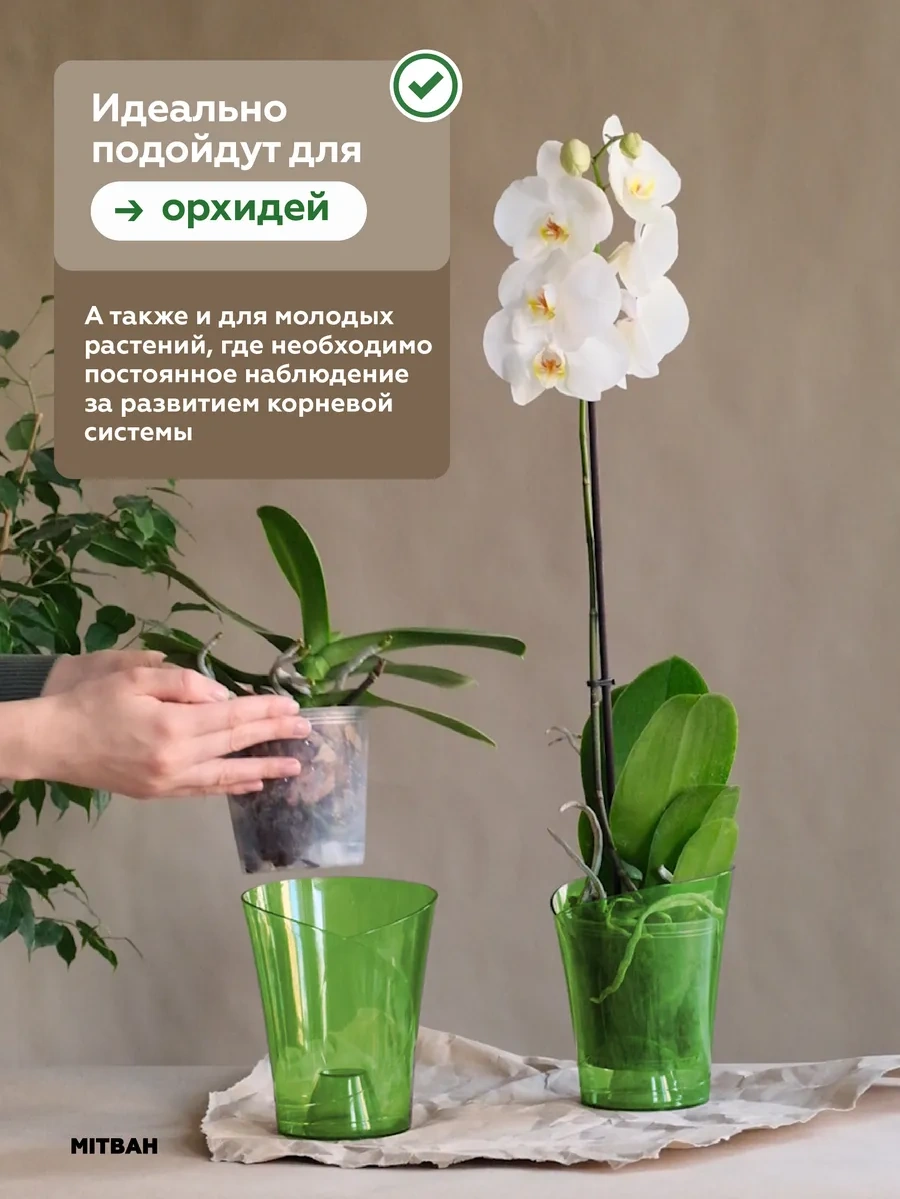 Mıtbah Şeffaf Orkide Saksısı 2 Adet 74247175