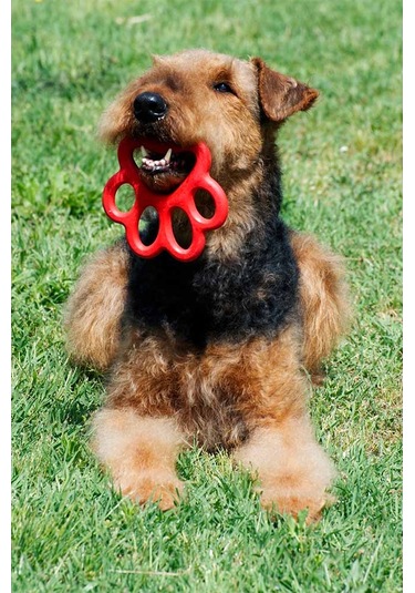 Orma Köpek Oyuncağı Sarı