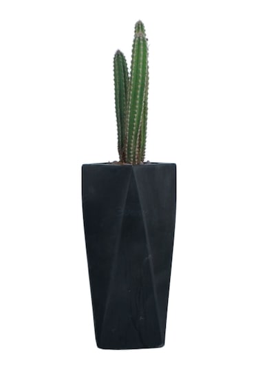 Çiçek Saksısı Uzun Beton Saksı Model 1 - Siyah