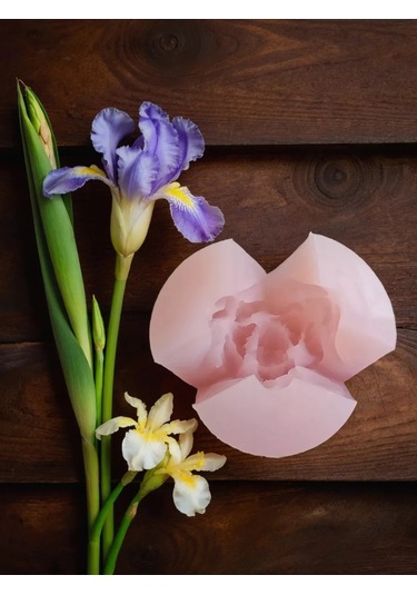 Koroleva Formy Silikon Çikolata Ve Kurabiye Kalıbı 3d 115079461 Diğer