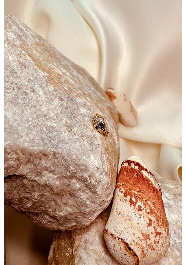 Skull Tasarım Taşlı Halka Altın Gold Renk 316l Stainless Steel Çelik Piercing Tragus Helix Altın