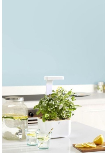 Veritable Botaneo Indoor Akıllı Iç Mekân Bitki Yetiştirme Sistemi, Beyaz Hobi Bahçesi