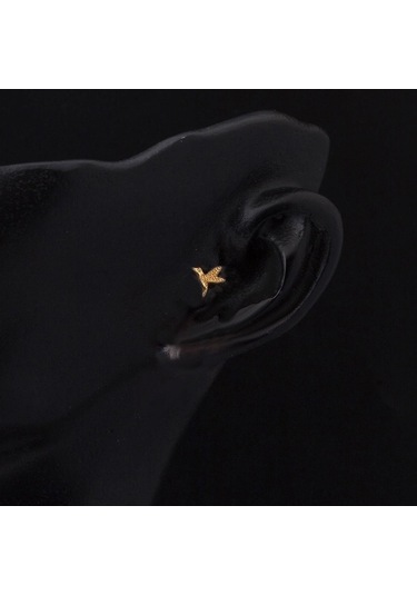 Bilezikci  Minik Kuş 14 Ayar Altın Tragus Küpe Kphss14k22478 Sarı