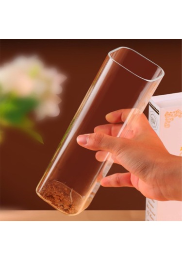 Kangvka Koku Çubukları İçin Cam Ashtray, Modern Ve Zarif Tasarım, Kuru Koku Tozu Toplama, 60x200mm Aksesuarlar Dahil Değil Şeffaf