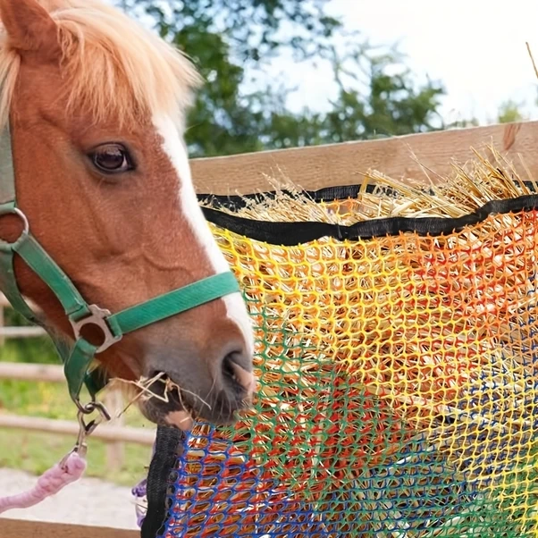 Elmpaly Renkli At Yem File - Dayanıklı Yavaş Yemleme Çuvalı 35inx24in