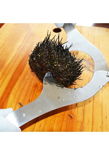 Paslanmaz Çelik Deniz Kestanesi Kabuğu Kesme Makası Emek Tasarrufu Deniz Kestanesi Kabuğu Açma Araçları Makas Mutfak Aletleri Çok Renkli