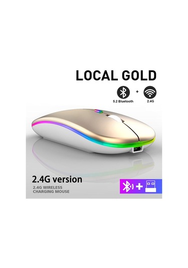 Kablosuz Bluetooth 2.4 GHz USB Şarj Edilebilir RGB Optik Mouse
