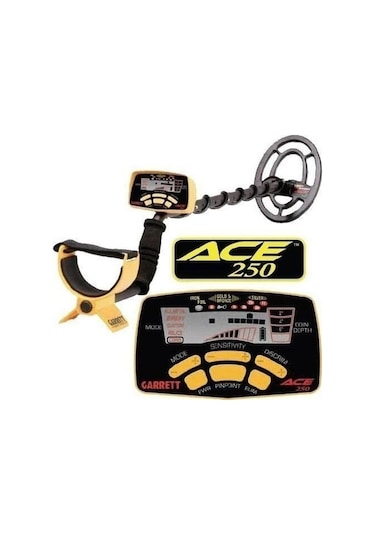 Garrett Ace 250