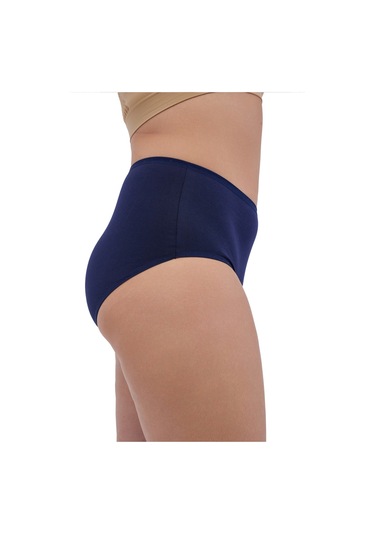 Alya Underwear Kadın Büyük Beden Külot Battal Full Brief, Yüksek Bel 5xl, 6xl, 7xl 5 Farklı Renk 1 Pakette Çok Renkli-p24